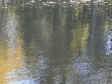 SeinÃ¤maljakko