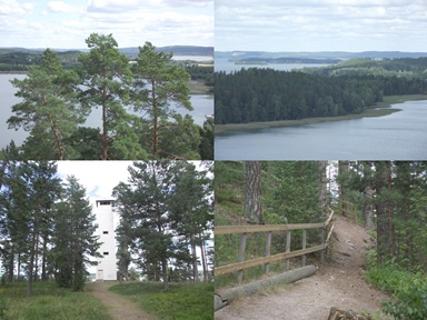 Kapatuosian linnavuori