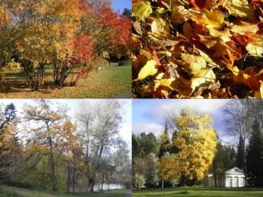 Syksy 2010