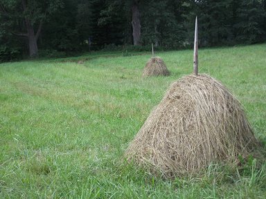Heinäseiväs